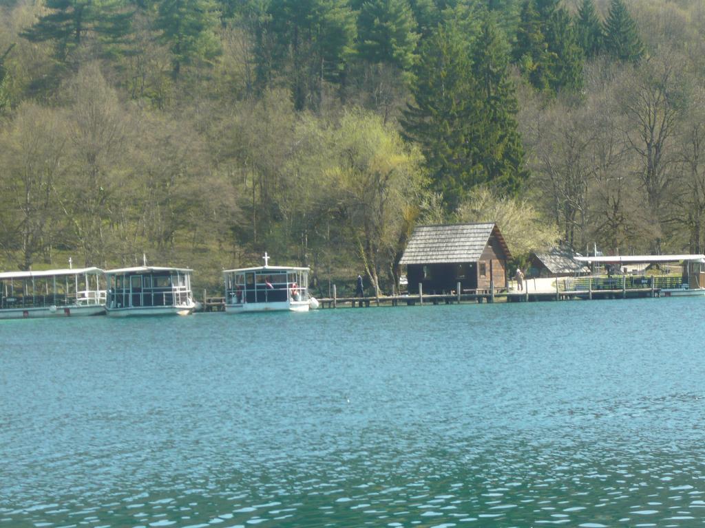 Guest House Antonela Smoljanac Rum bild