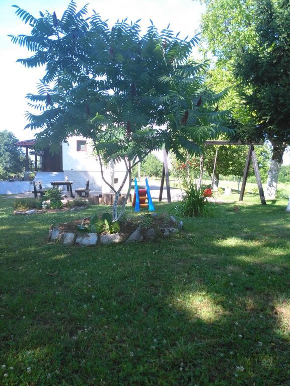 Guest House Antonela Smoljanac Rum bild