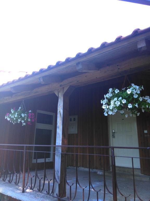 Guest House Antonela Smoljanac Rum bild