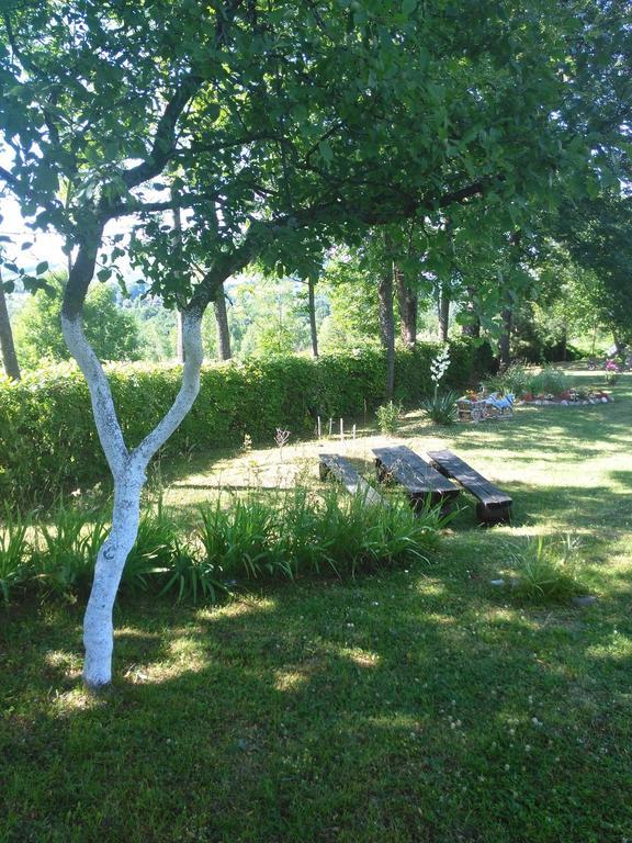 Guest House Antonela Smoljanac Rum bild
