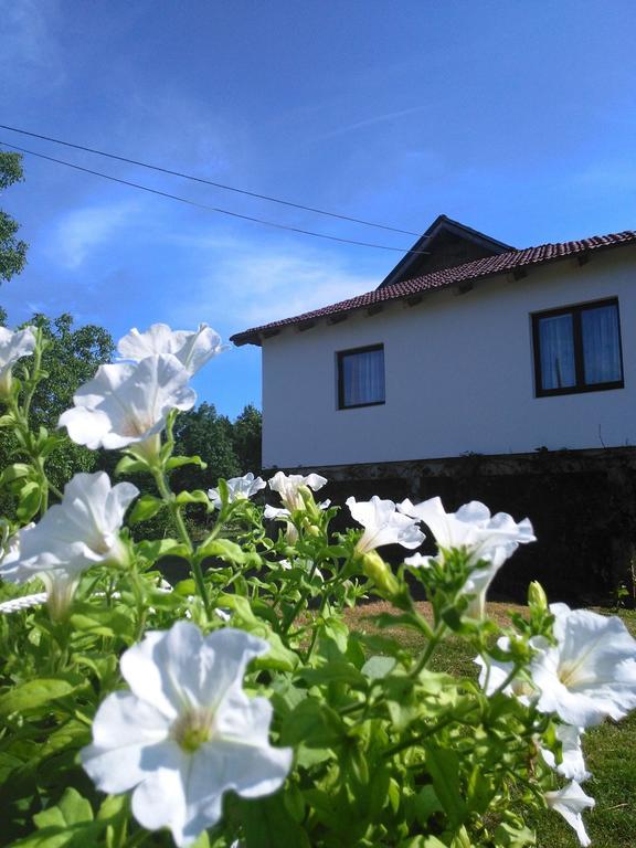Guest House Antonela Smoljanac Rum bild