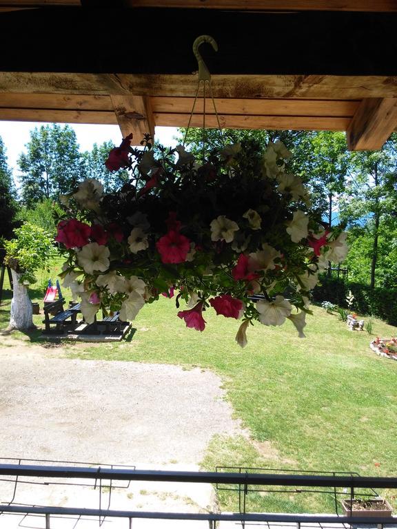 Guest House Antonela Smoljanac Rum bild