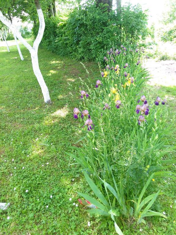 Guest House Antonela Smoljanac Rum bild