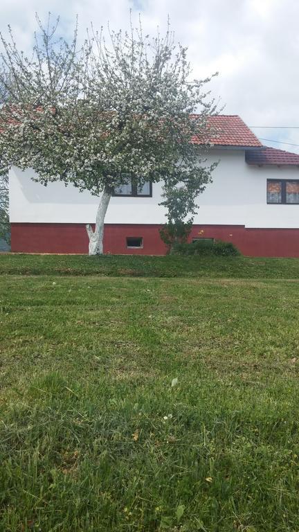 Guest House Antonela Smoljanac Exteriör bild